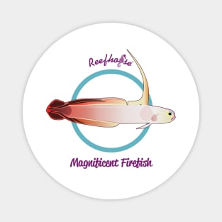 Magnificent Firefish Magnet